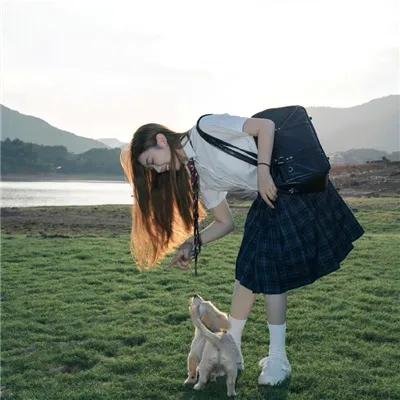 出门就是狗狗乐园